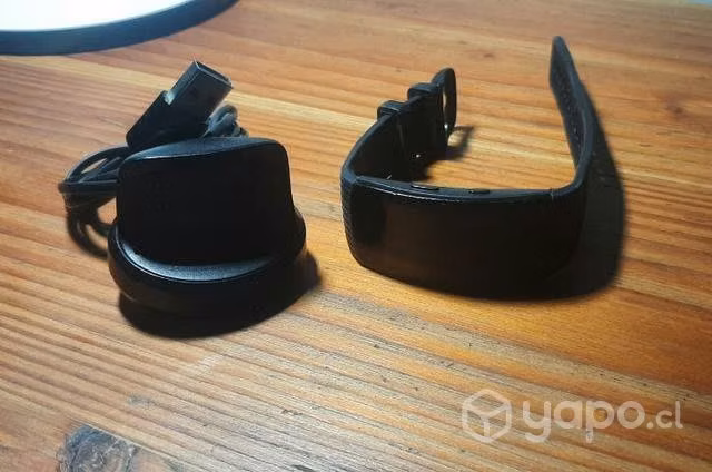 Samsung gear fit 2 pro