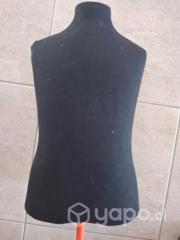 Torso sin pedestal