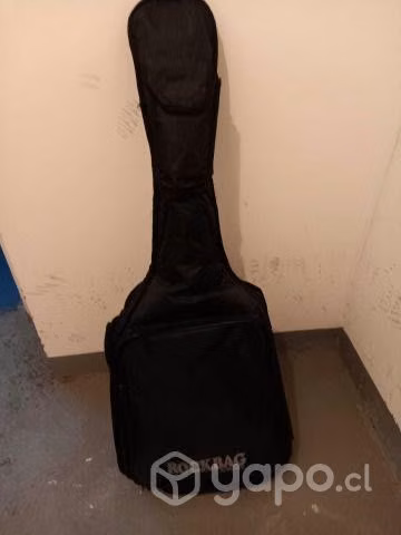 Guitarra con funda