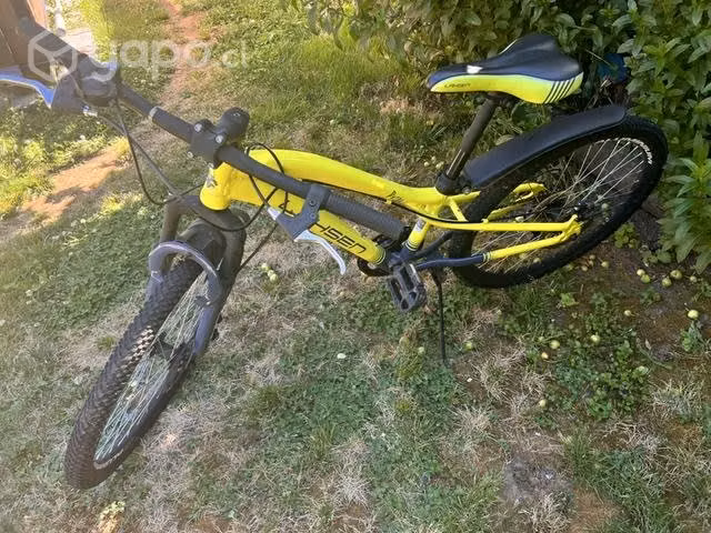 Bicicleta marca Lahsen aro 24