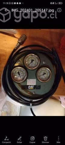 Tetragage cat