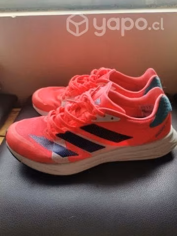 Calzado talla 41