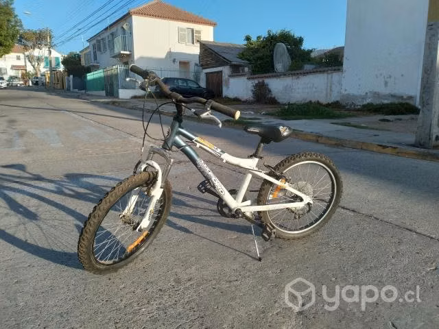 Oxford Raptor Aro 20