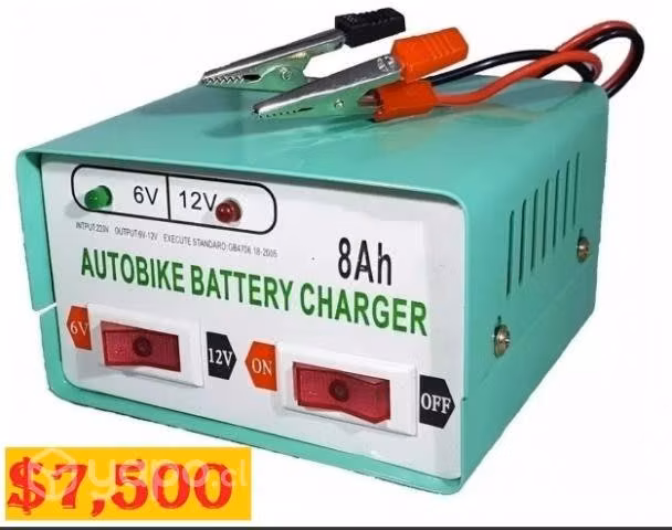 Cargador Bateria Auto Moto Scooter Camioneta Nuevo