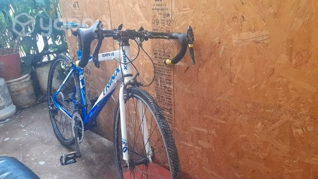 Bicicleta pistera