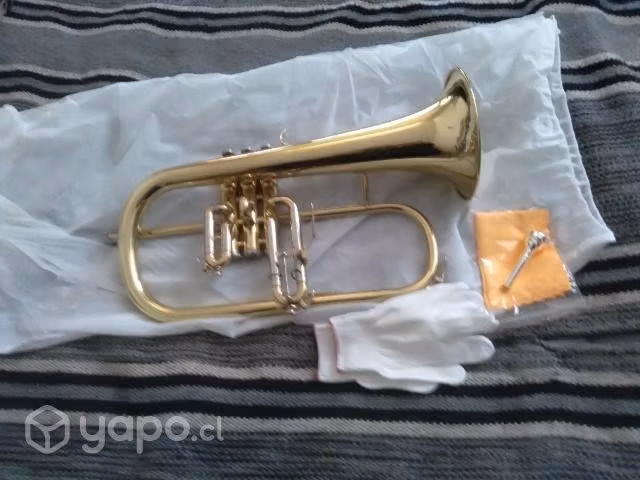 Flugelhorn nuevo. - Imagen 3