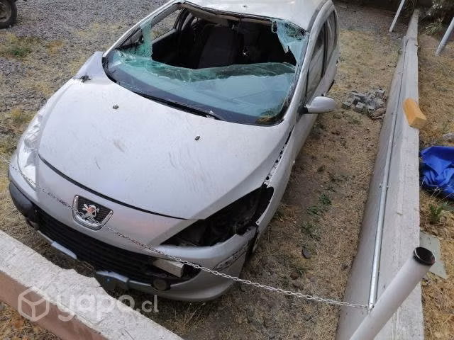 Peugeot 307 2009