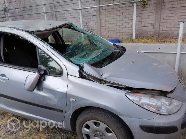 Peugeot 307 2009
