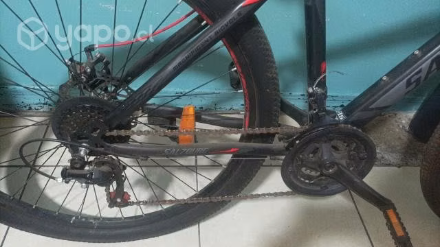 Bicicleta