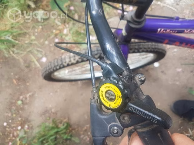 Bicicleta