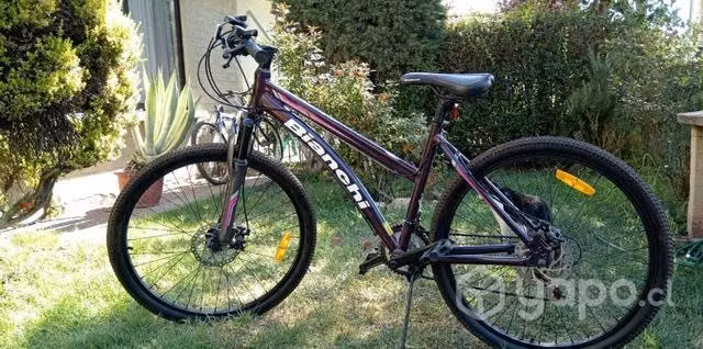 Bicicleta bianchi aro 26 - Imagen 2