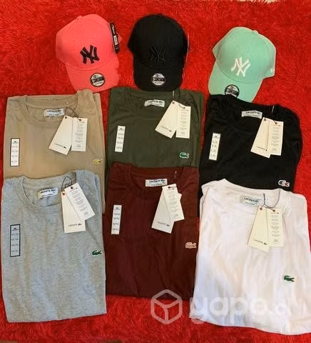 Poleras Lacoste algodón y bordadas - Imagen 6