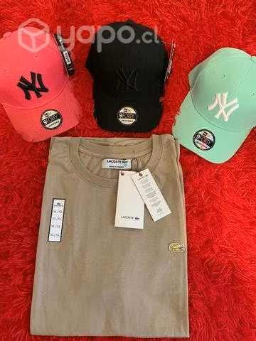 Poleras Lacoste algodón y bordadas - Imagen 5