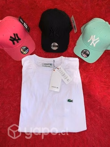 Poleras Lacoste algodón y bordadas - Imagen 2