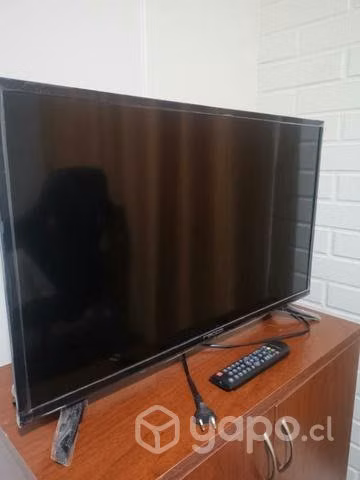 Televisor plasma 29 pulgadas