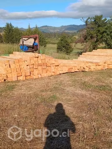 Madera de pino