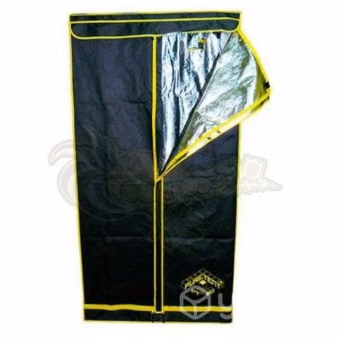 Carpa de indoor