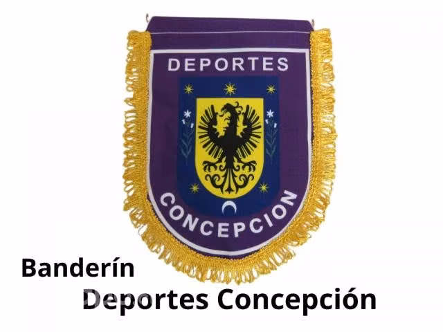 Banderín Deportes Concepción