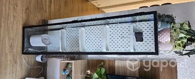 Vitrina para plantas