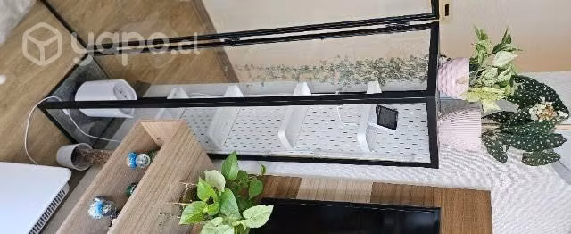 Vitrina para plantas