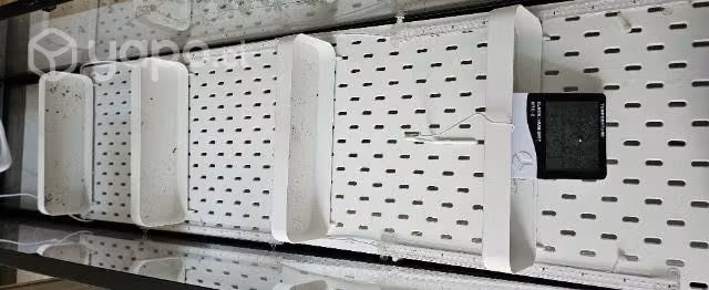 Vitrina para plantas