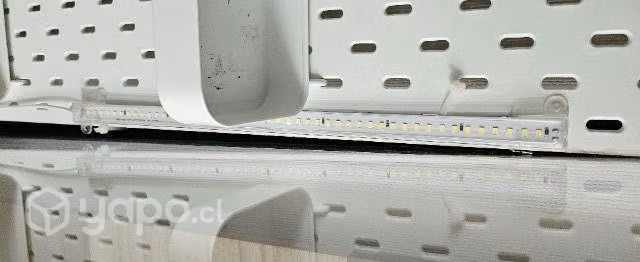 Vitrina para plantas