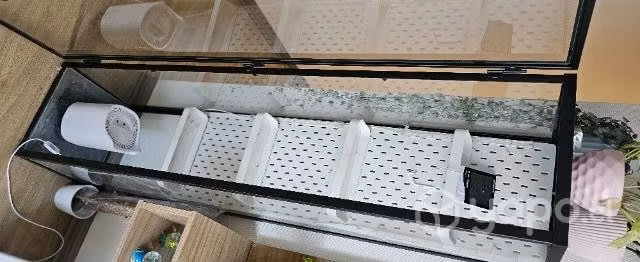 Vitrina para plantas