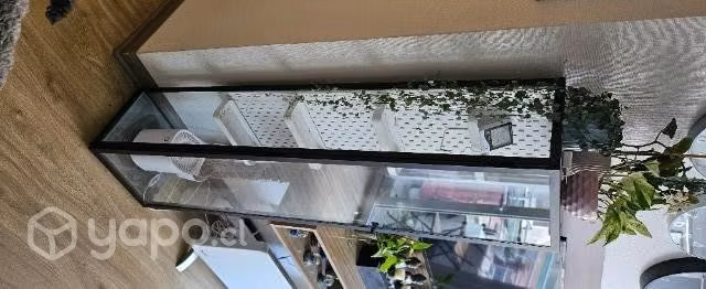 Vitrina para plantas