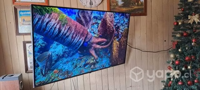 LG nanocell 55 pulgadas