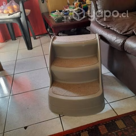 Escala canina - Imagen 2