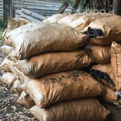 Carbón de pino por saco