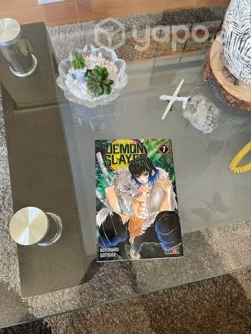 Libros mangas
