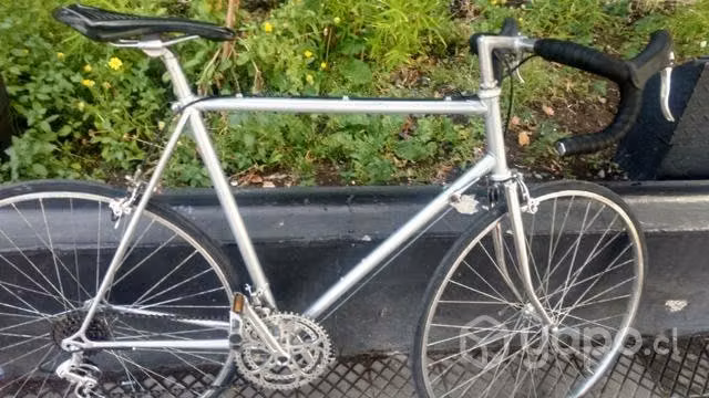Bici de ruta clasica gris