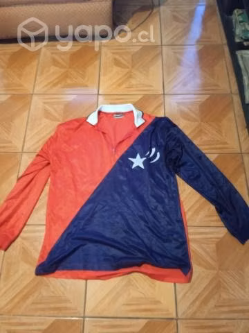 2 poleras deportivas antigua una la otra es de pan