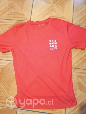 2 poleras deportivas antigua una la otra es de pan