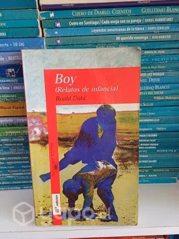 Boy relatos de infancia