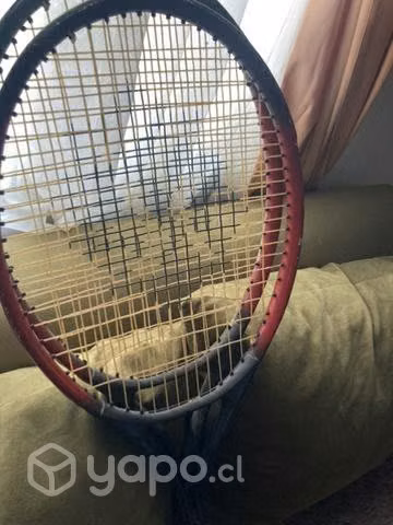 Par de raquetas de tenis