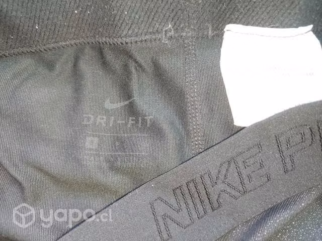 Calsas nike