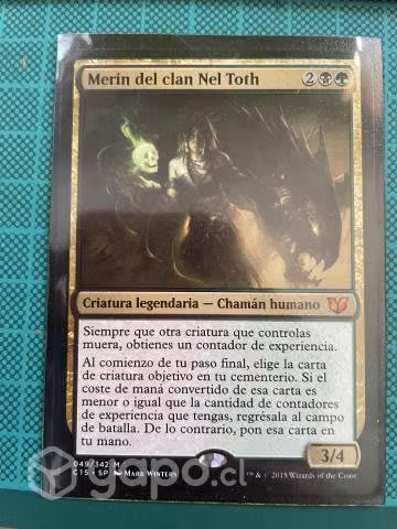 Mazo commander-meren