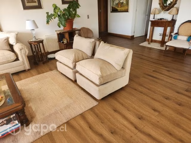 Par de sillones de felpa