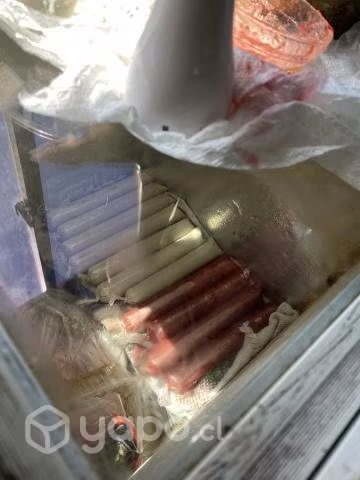 Cubitos de fruta