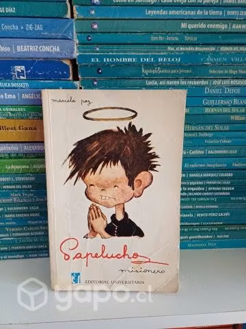 Papelucho Misionero