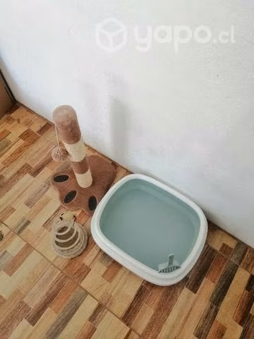 Artículos para gatos - Imagen 2