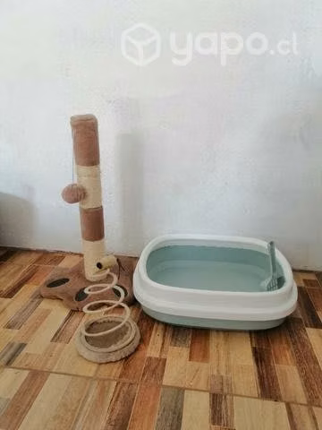 Artículos para gatos