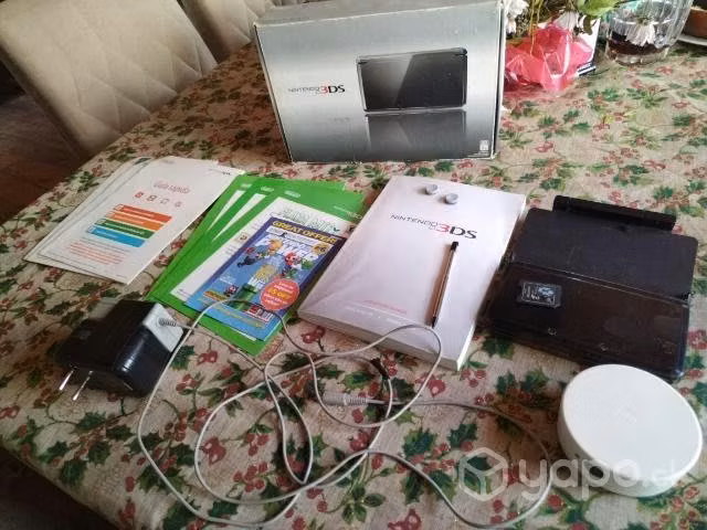 Nintendo 3DS