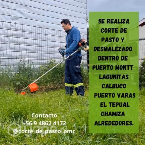 Corte de pasto