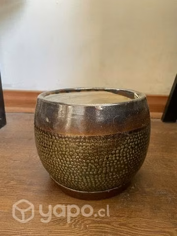 Maseteros y plantas - Imagen 2