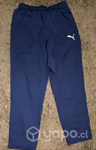 Buzo deportivo puma
