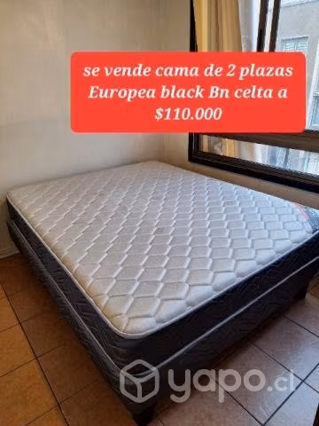 Cama