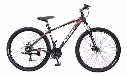 Bicicleta Phoenix aro 29